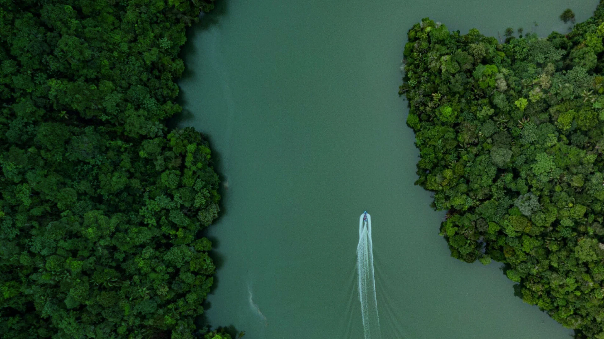 Paisaje Colombiano